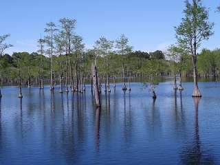 George L Smith II State Park