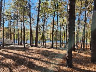 Clarkco State Park