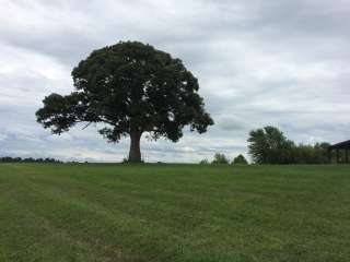 Crow's Creek Campground