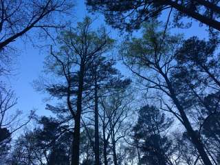 Rickwood Caverns State Park