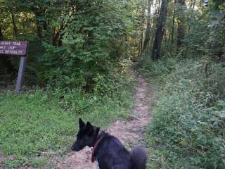 Big Bone Lick State Park