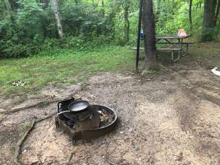 Taylorsville Lake State Park