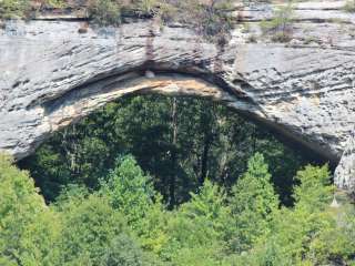 Whittleton Campground — Natural Bridge State Resort Park