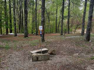 Horine Reservation Camping at Jefferson County Memorial Forest 