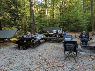 Turkey Foot Campground