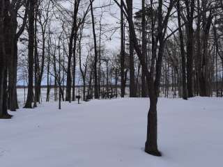 Cane Creek State Park