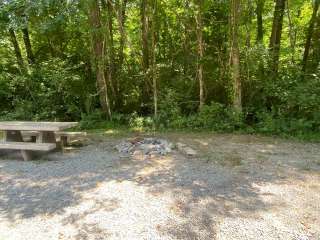 Turkey Bay Vehicle Area & Campground