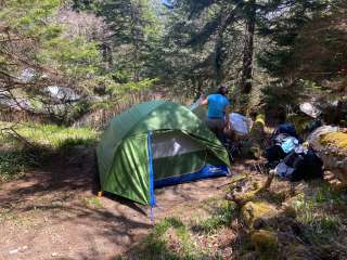 Tricorner Knob Shelter — Great Smoky Mountains National Park