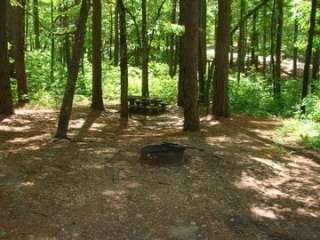 Jeff Busby Campground, Milepost 193.1 — Natchez Trace Parkway