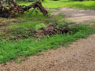 Punkin Park Campground