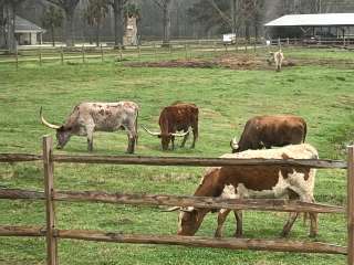 Natchitoches Pecan Orchard RV Park 