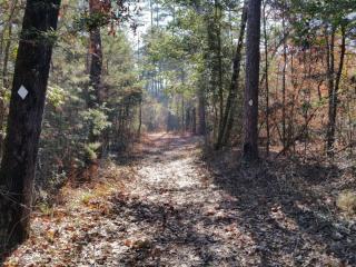 Little Black Creek Waterpark