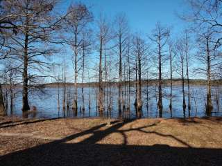 Corney Lake North Shore Primitive Campground