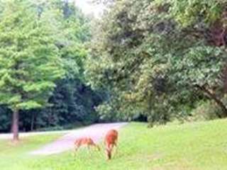 South Sandusky Campground