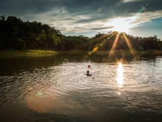 Coon Creek (IL)