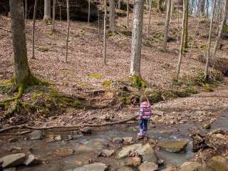 Turkey Ridge Campground — Ferne Clyffe State Park