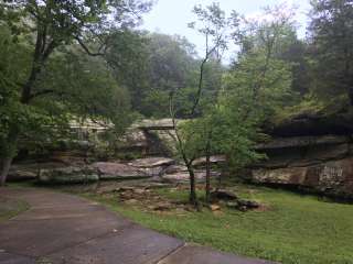 Dixon Springs State Park