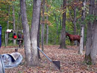 Wolf Creek State Park