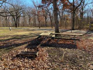 Hononegah Forest Preserve