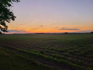 MacQueen Forest Preserve