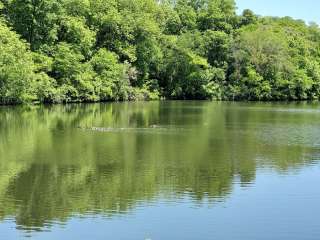 Nauvoo State Park