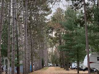 Pine View Campground