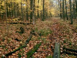 Forest Glen County Preserve