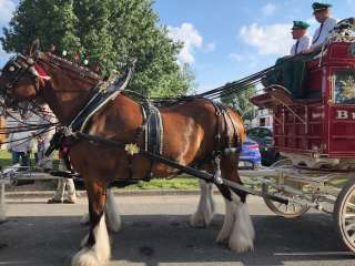 Du Quoin State Fair Campground