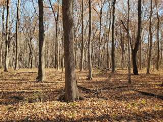 Spitler Woods State Natural Area