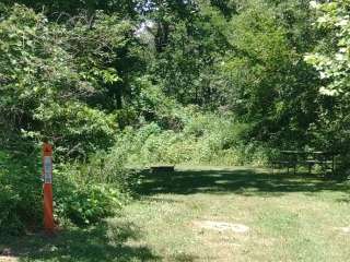 Indian Meadows Campground - Loud Thunder Forest Preserve