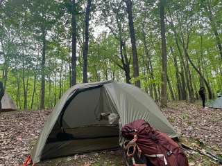 Vermilion County Park Forest Glen Preserve