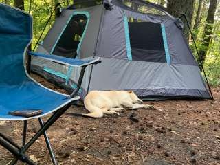 Equestrian Campground — Ferne Clyffe State Park